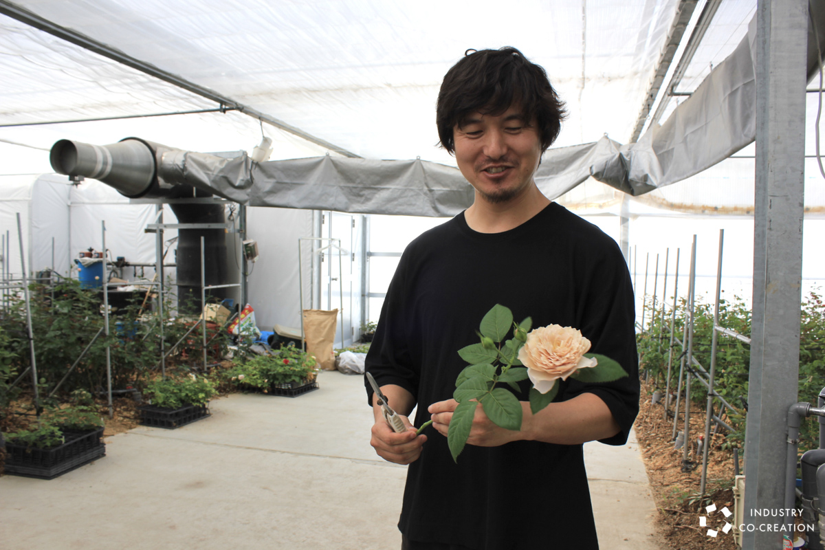 和ばら』が伝える、本来の花の美しさと豊かさ。日本の美意識を形にする、Rose Farm KEIJIを訪問しました【ICC KYOTO  2020下見レポート】 【ICC】INDUSTRY CO-CREATION