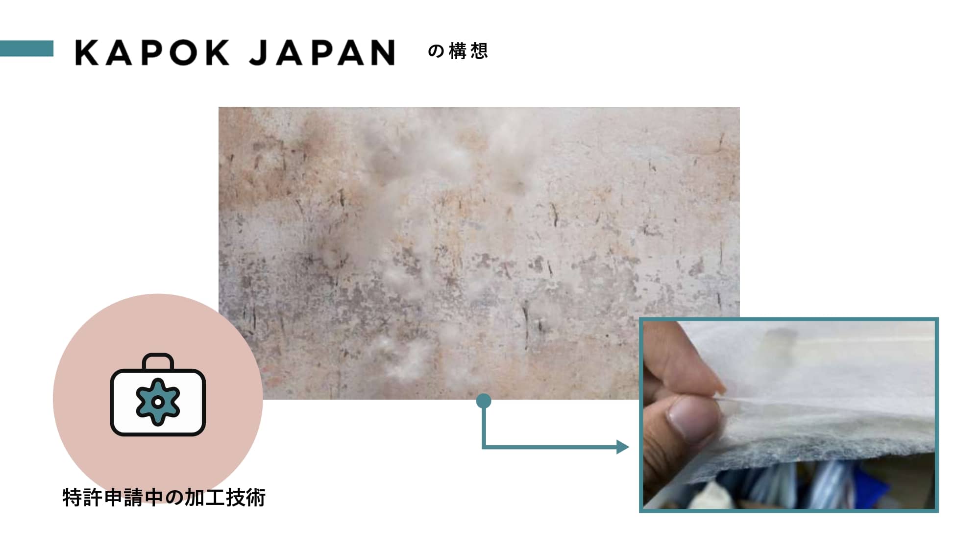 5mmでダウンの暖かさ 循環型 高機能の植物素材で ファッションを楽しむ未来を創る Kapok Japan Icc Fukuoka 21 Icc Industry Co Creation
