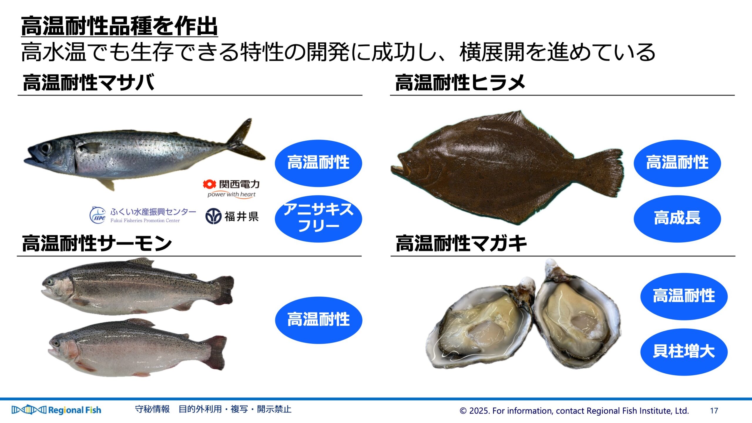 協業加速！「リージョナルフィッシュ」は品種改良とスマート養殖